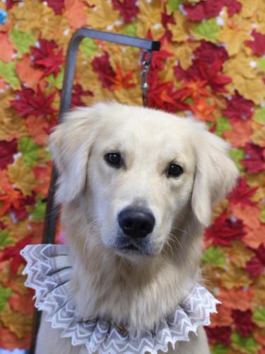 20241122レオくん　